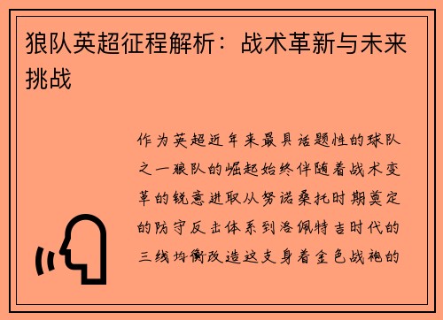 狼队英超征程解析：战术革新与未来挑战